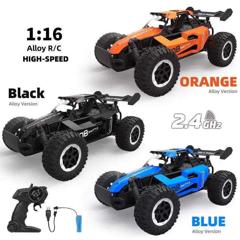 1:16 Terrain Crawler 2WD RC Car